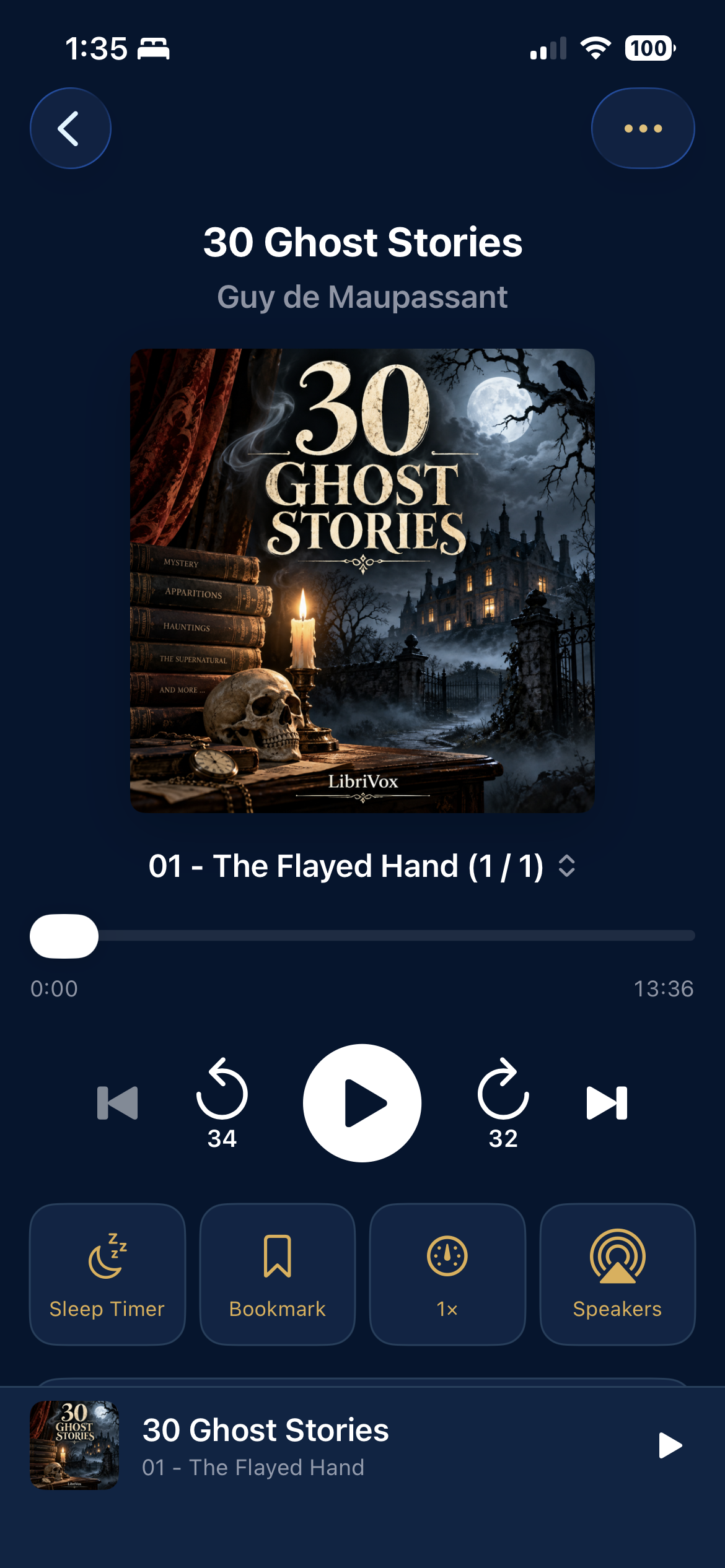 Kirshigo playback screen